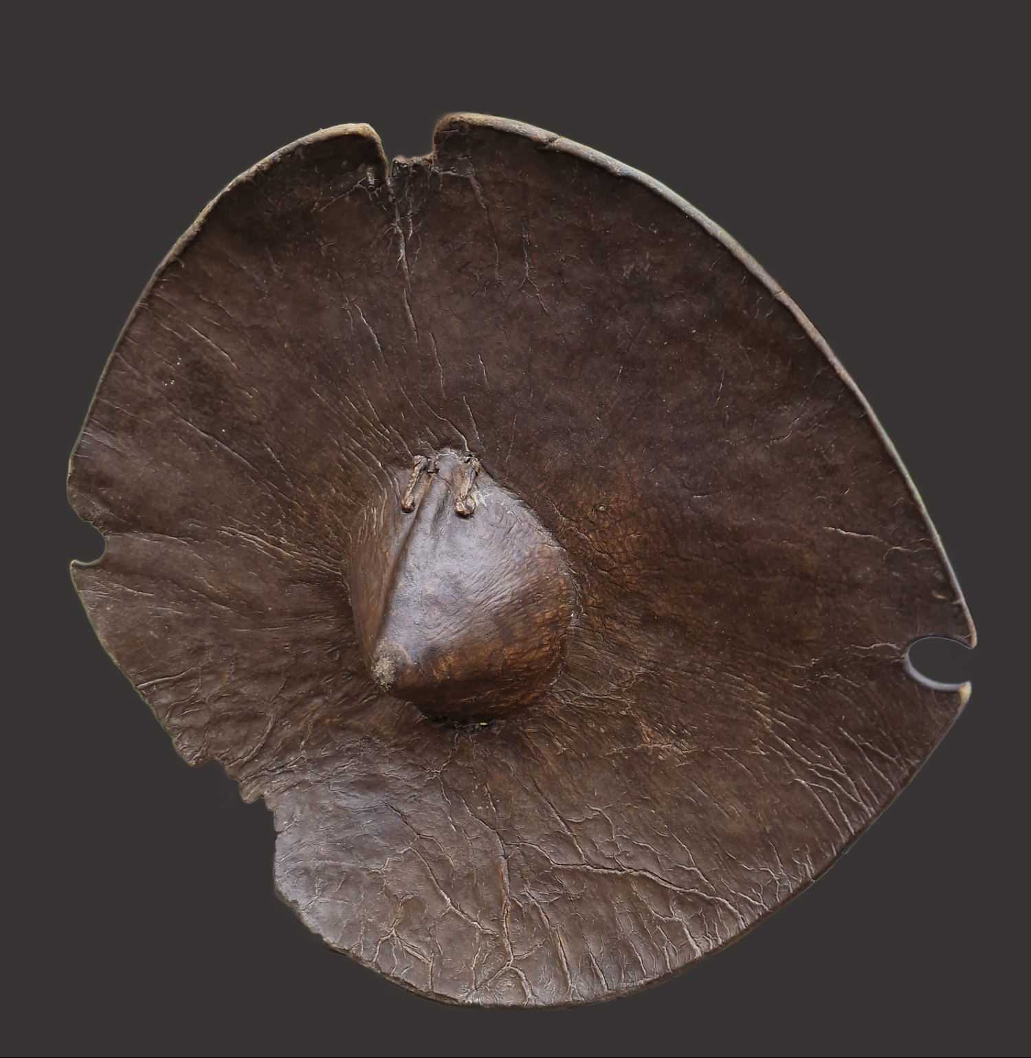 Beja Shield, Sudan.