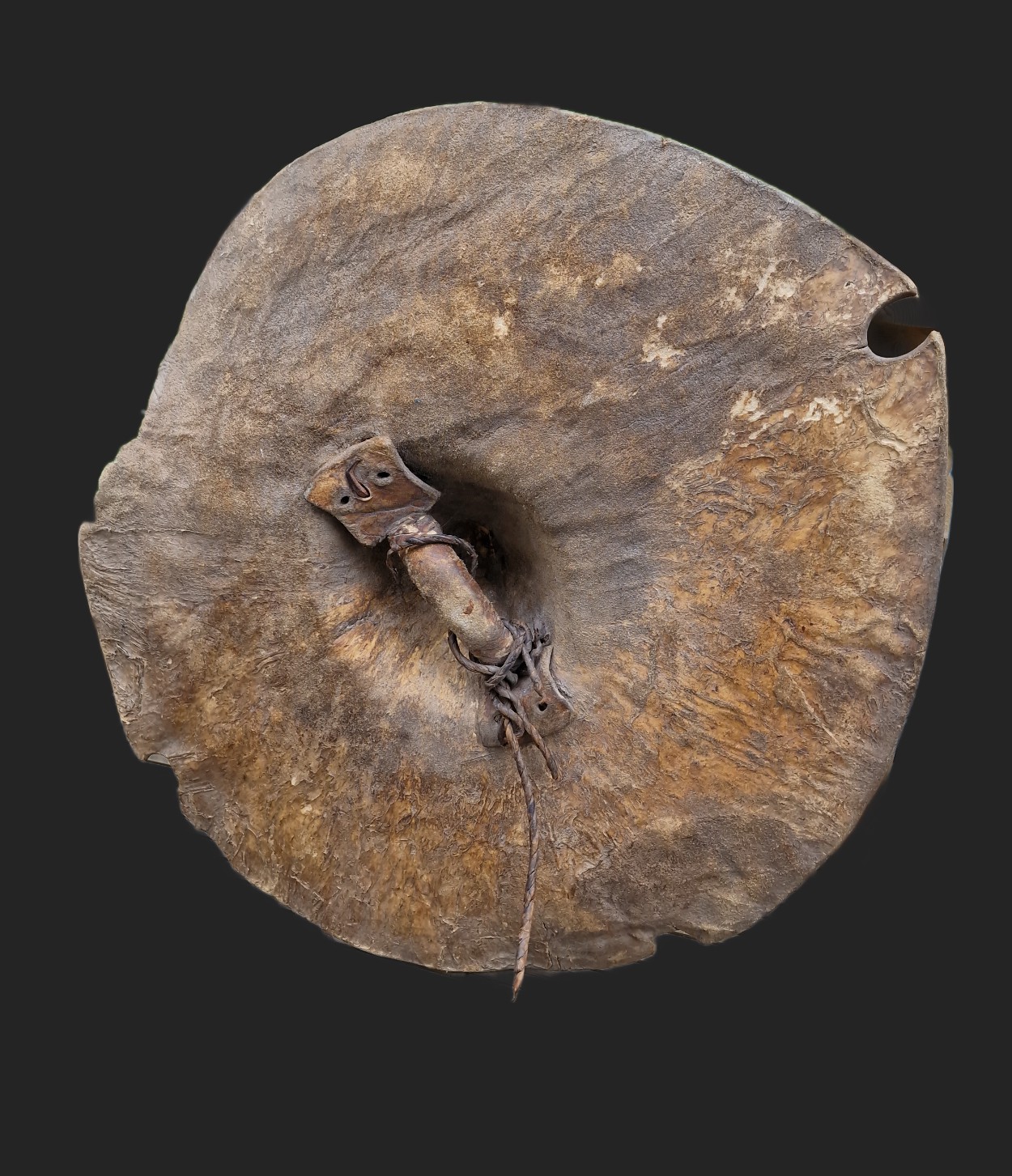 Beja Shield, Sudan. view 3