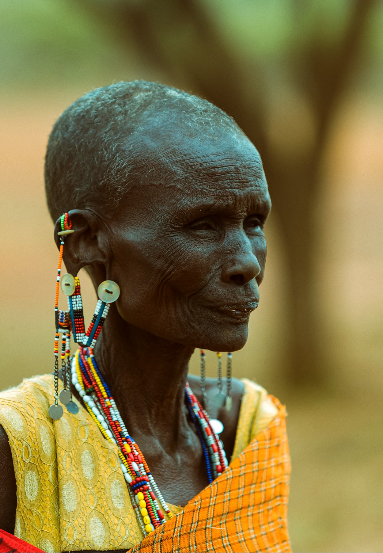 Adornment and Ancestry: Samburu Elder in Beaded Splendour 