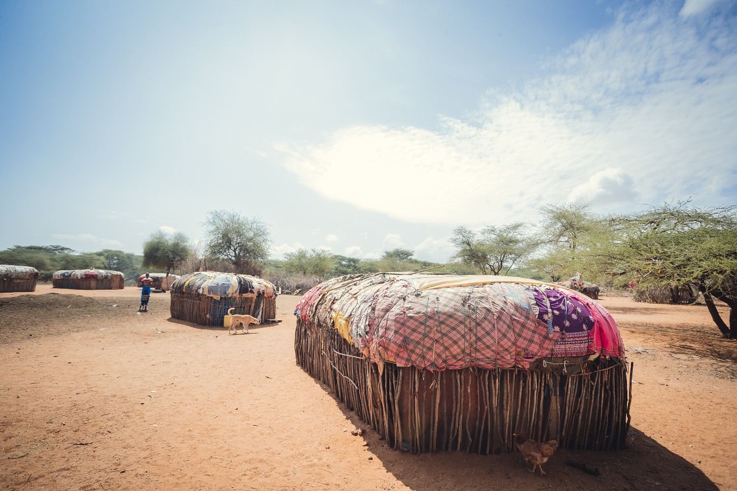 Traditional Samburu Home: Architecture, Culture, and Heritage.